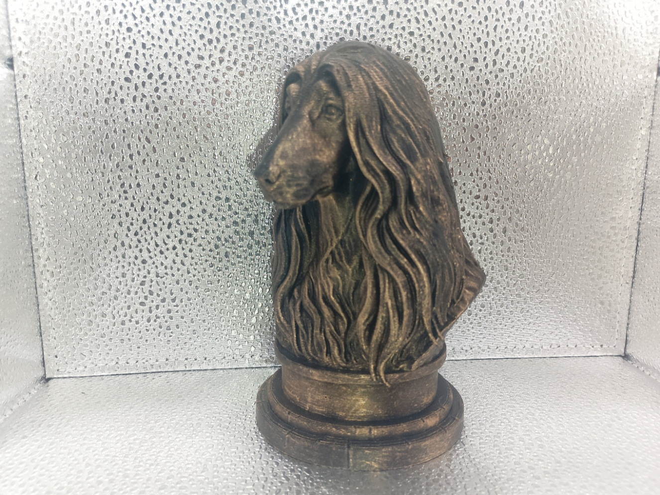 Afghan Hound Bust