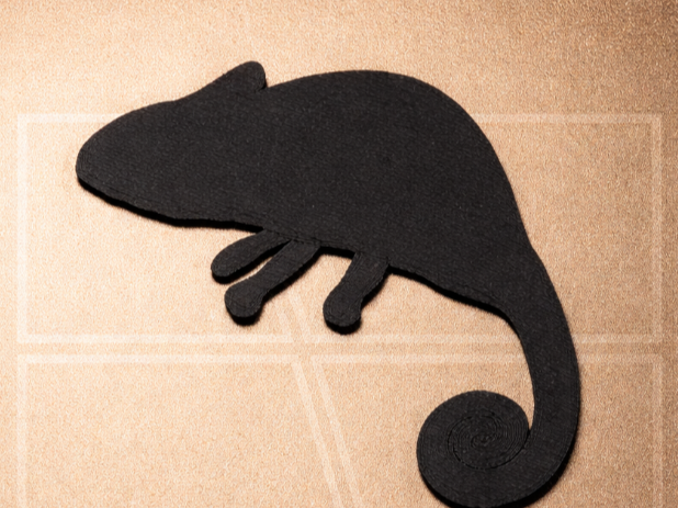 Wall print - Cameleon