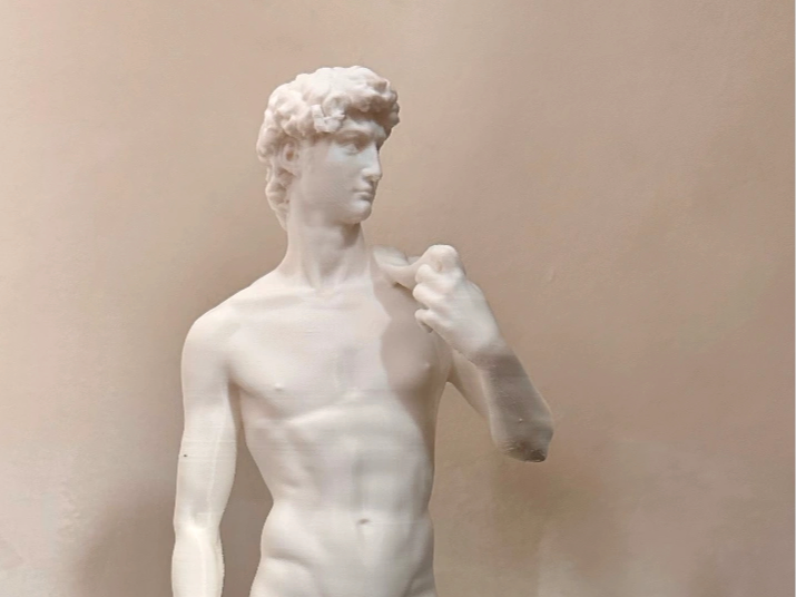 David by Michelangelo high resolution