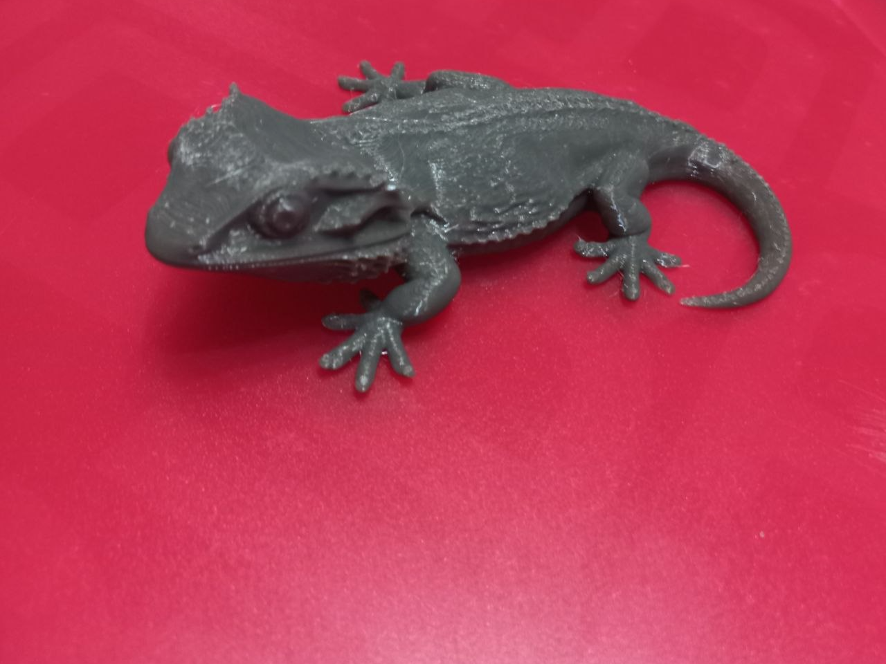 iguana art 3d