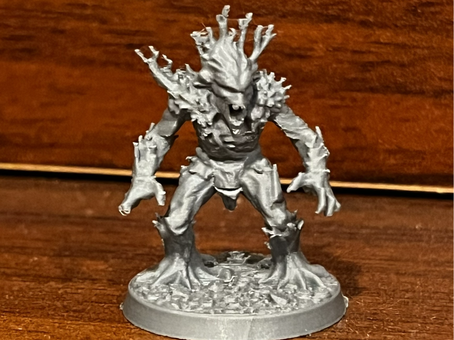 D&D Ent