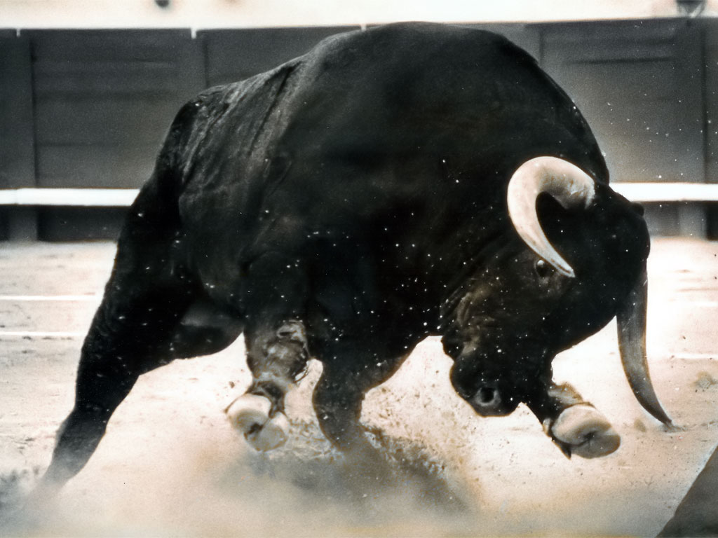toro articulada 3d