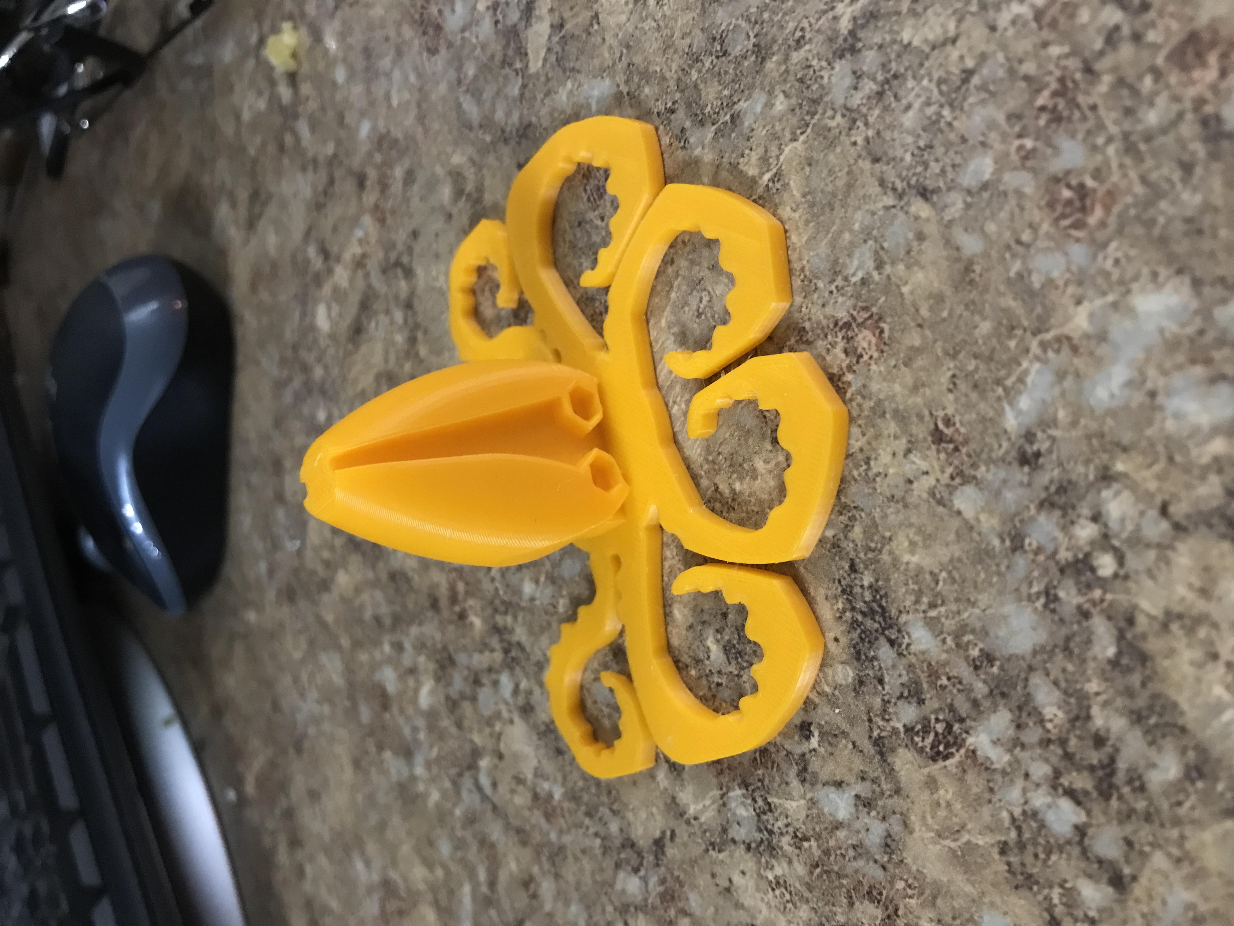 SQUID
