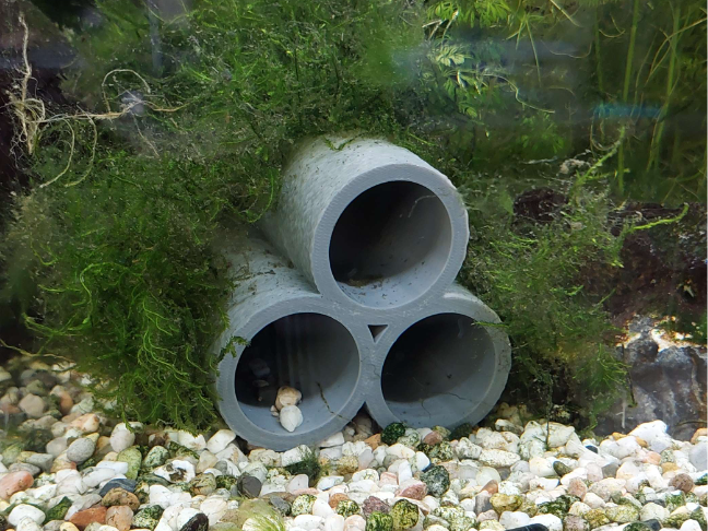 Aquarium Deko Garnelen/Fischversteck