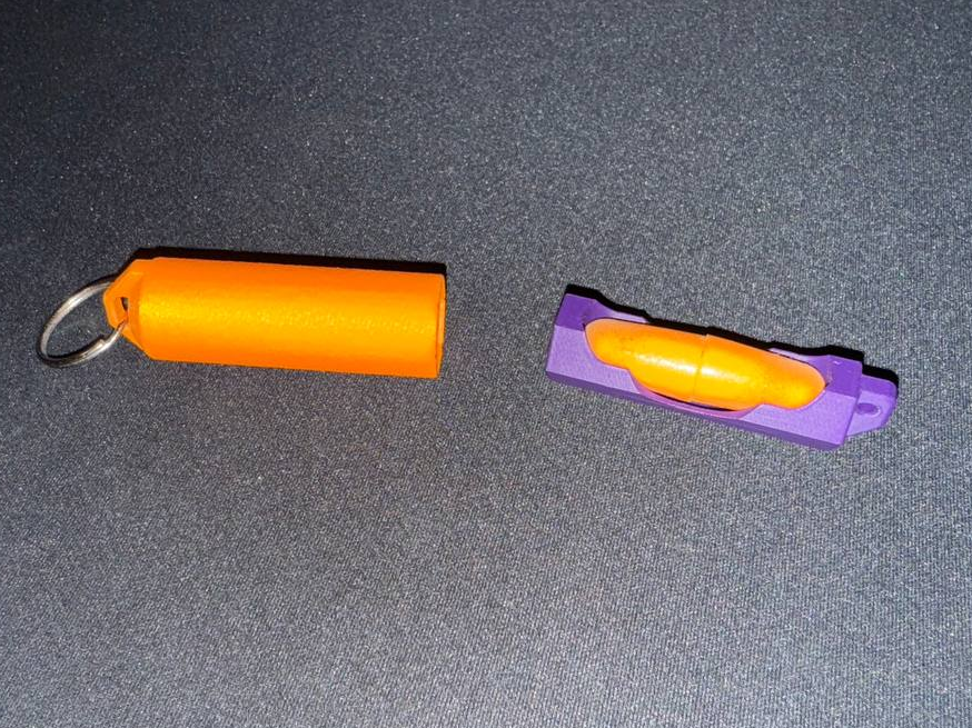 Foam Earplugs Case