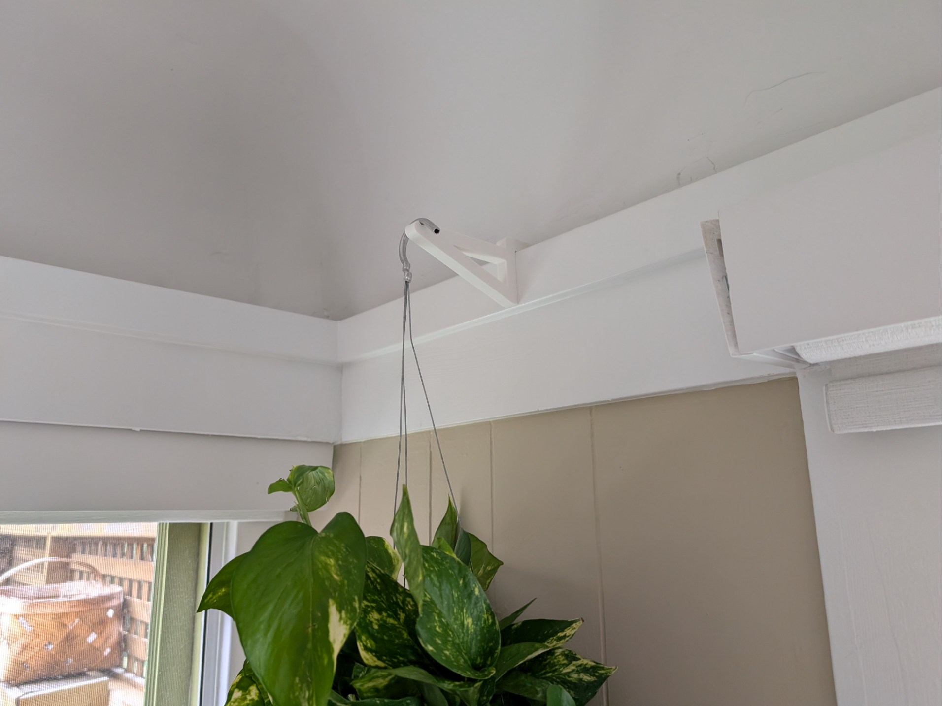 Hanging plant hook (for a picture rail)