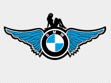 BMW MIRROR HANGER
