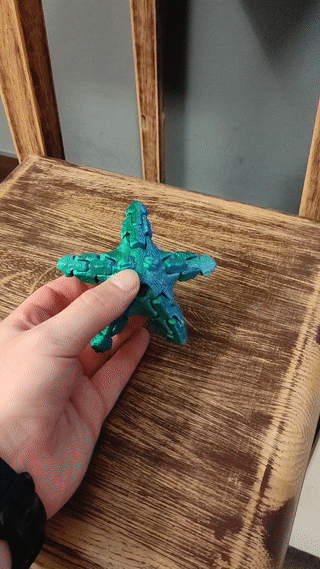 ARTICULATED STARFISH