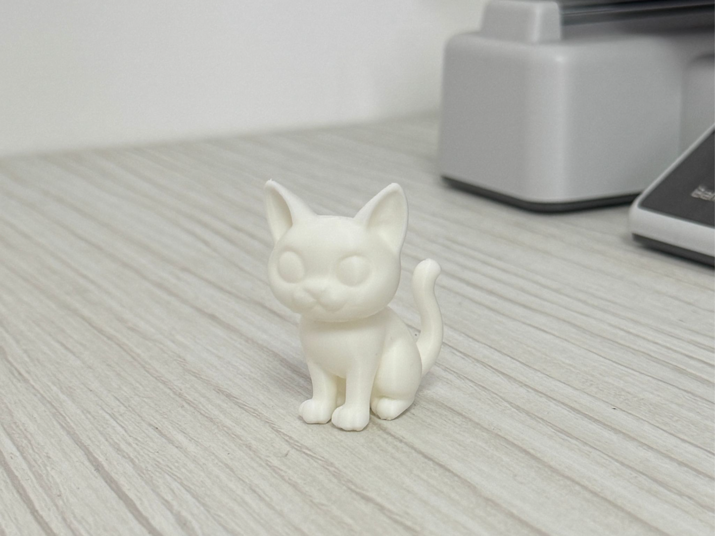 Cute Cat