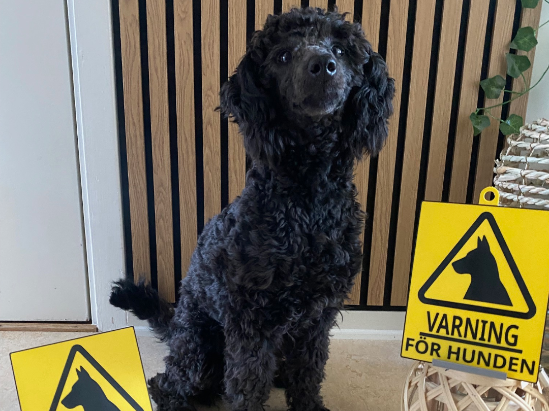Varningskylt - Varning för hunden