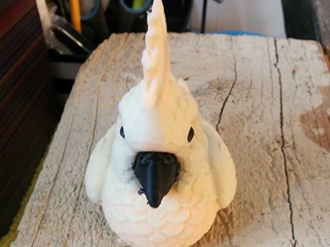 Cockatoo Rubber Ducck