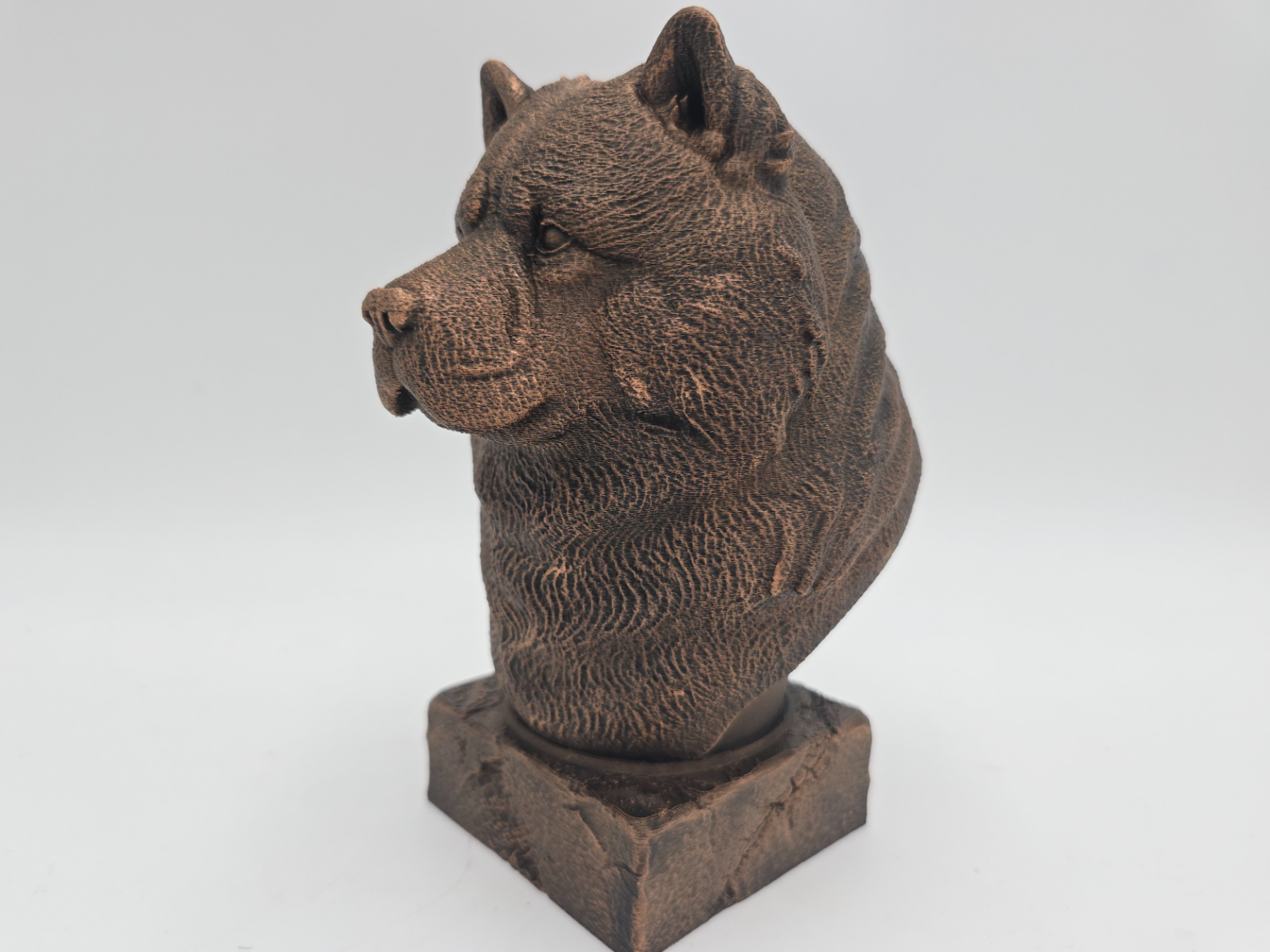 CHOW CHOW BUST