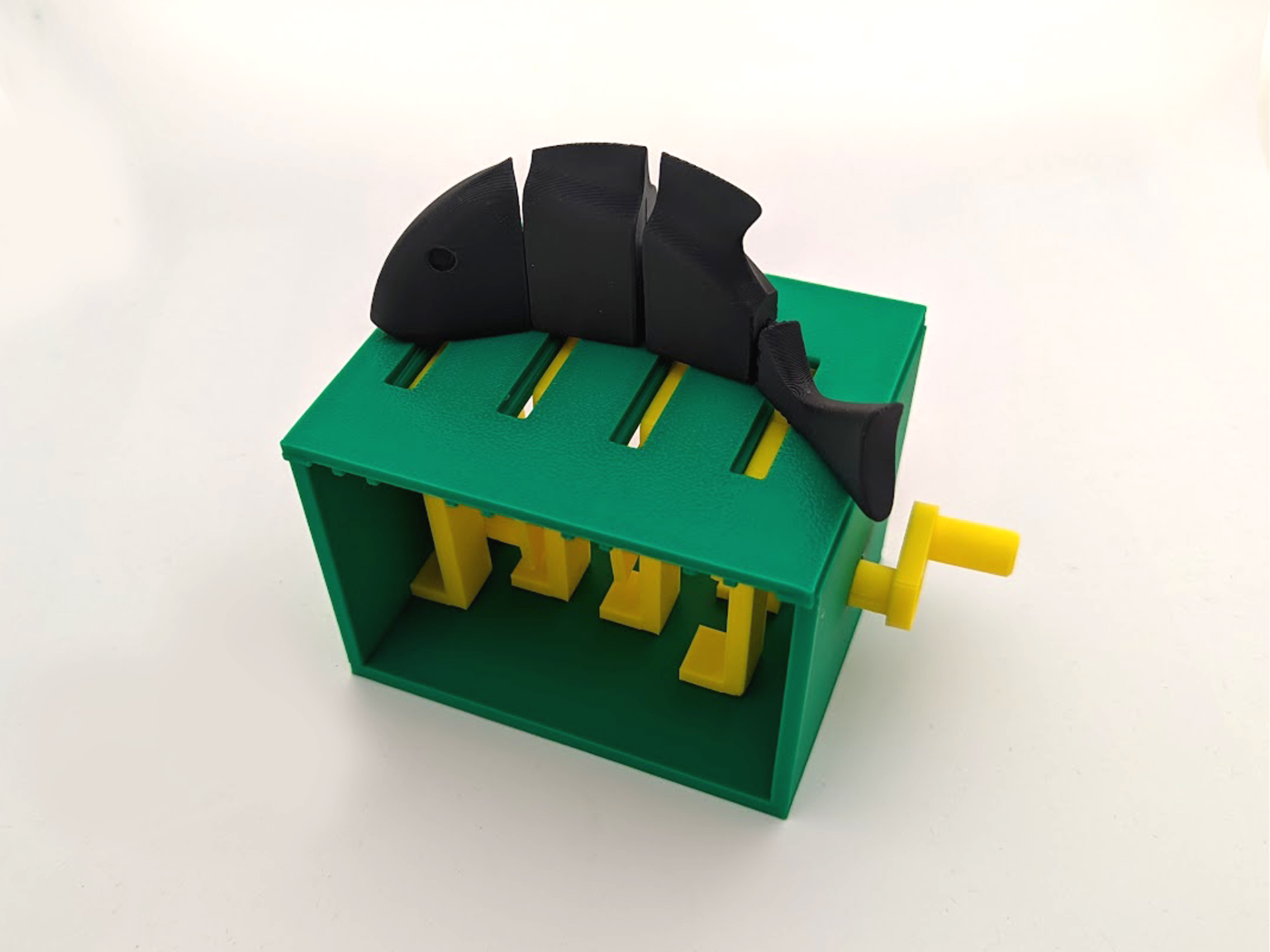 Fish Automaton - V2