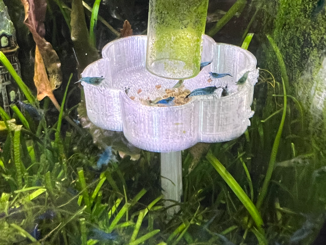 Shrimp Flower Feeder