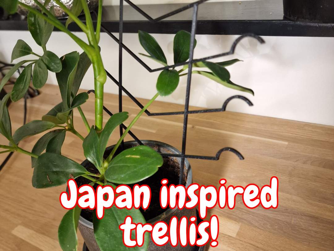 Japan inspired trellis