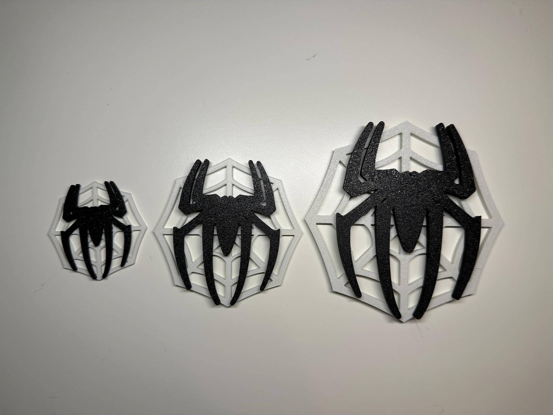 Spider with cobweb