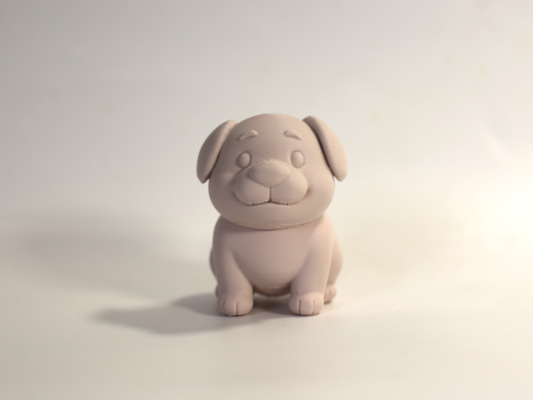 A slightly chubby dog
