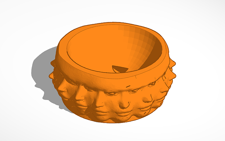Face Sculpture Plant Pot
