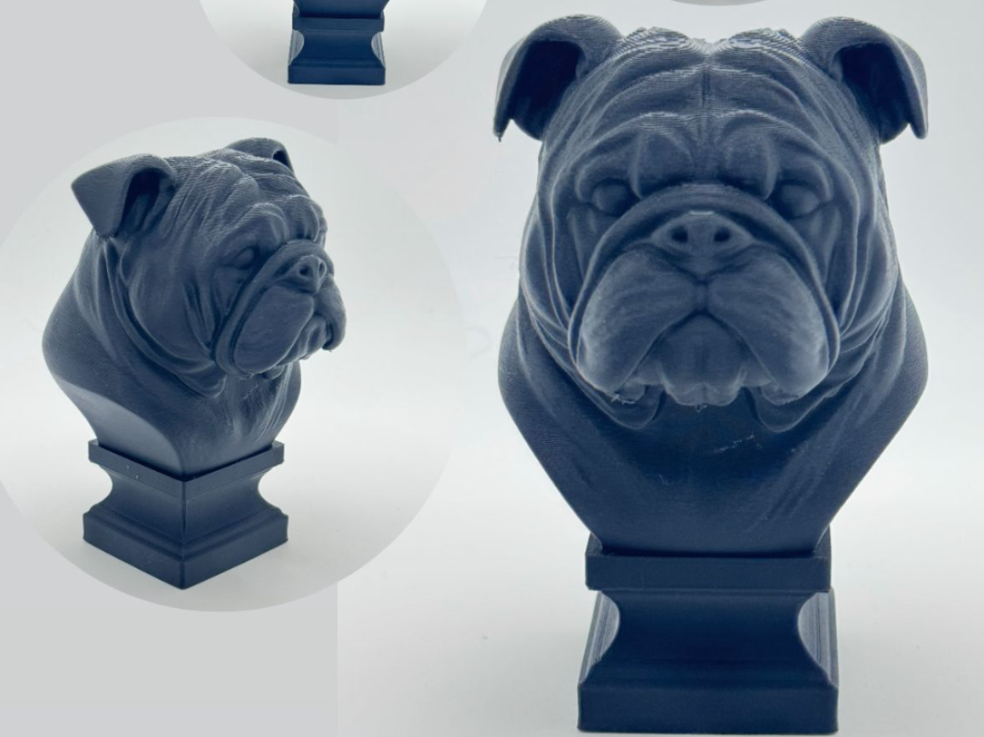 English Bulldog Dog Bust + Stand