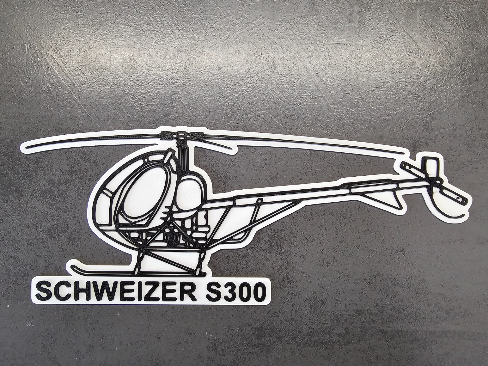 Schweizer S300