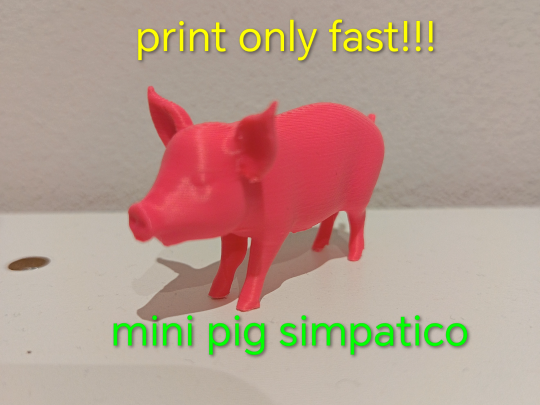 mini maiale simpatico