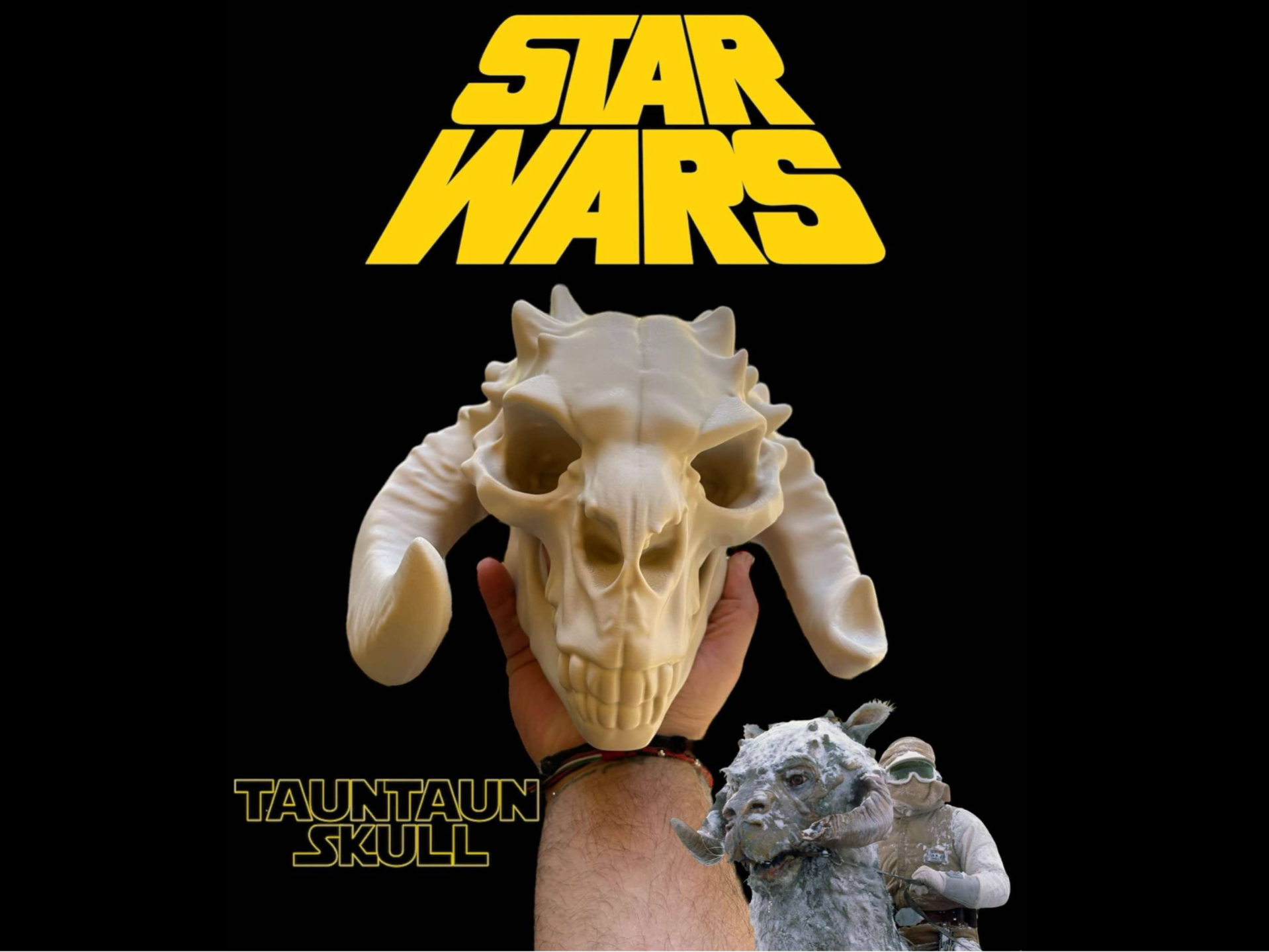 Tauntaun Skull