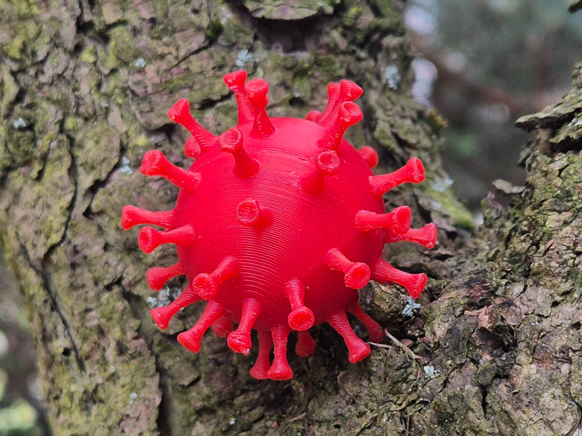 COVID-19 Virus Model