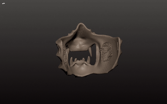 JuanMakes - Serpent Mask