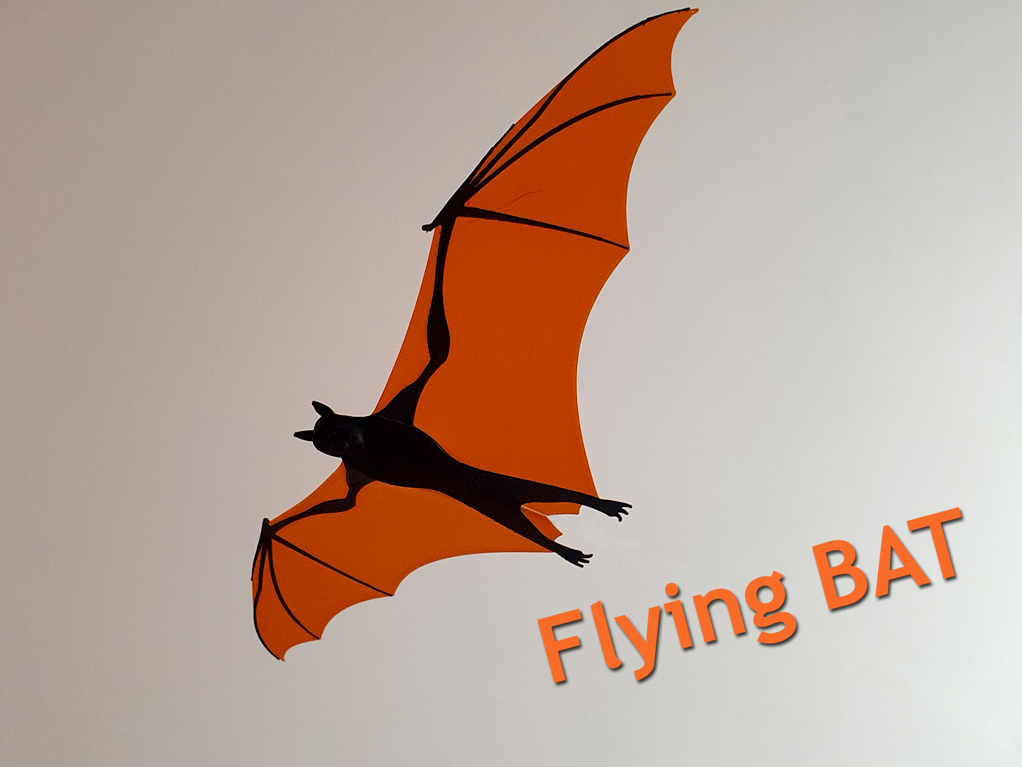Flying Bat