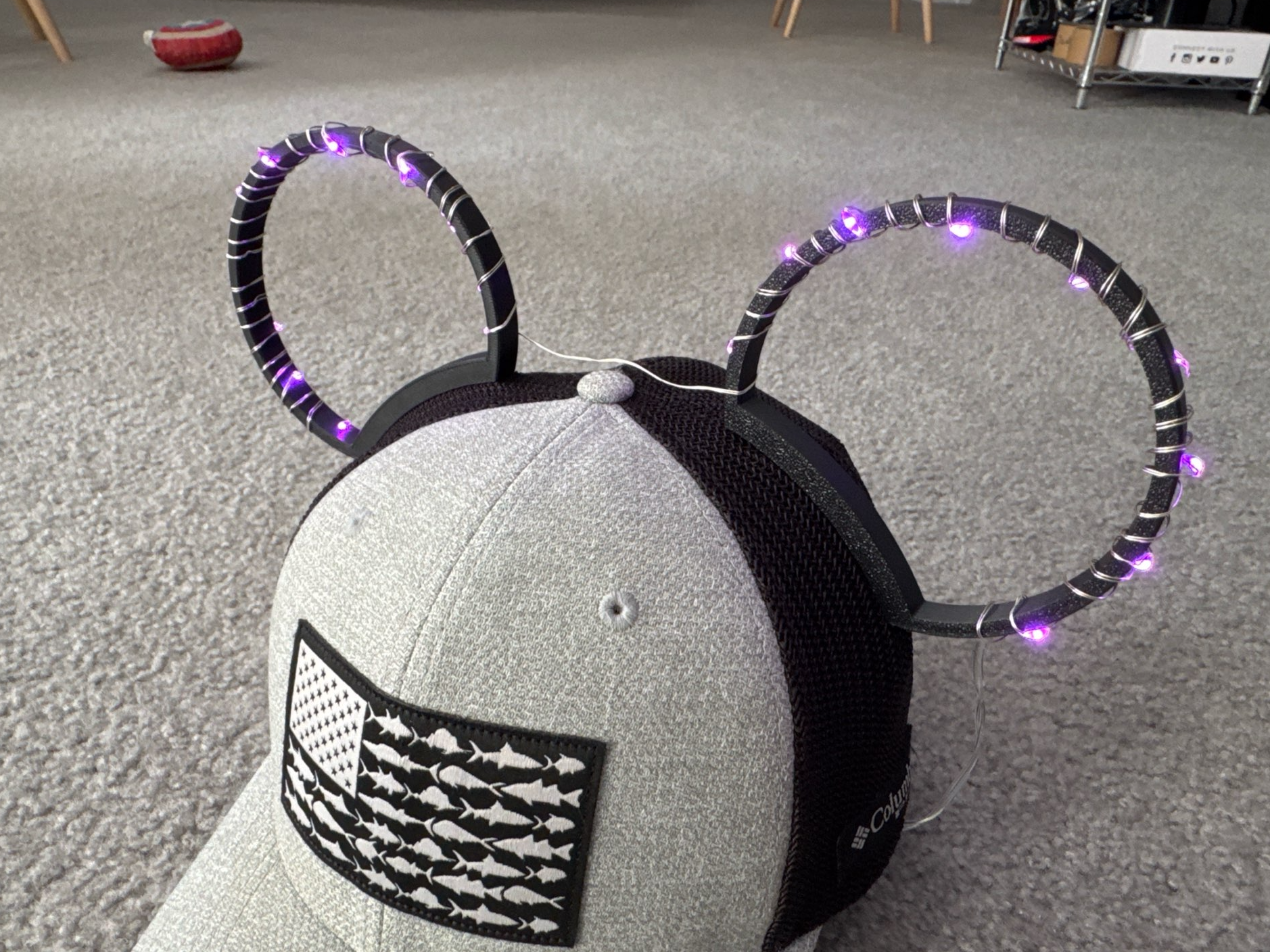 Disney Ears 5 Magnet Hat Insert