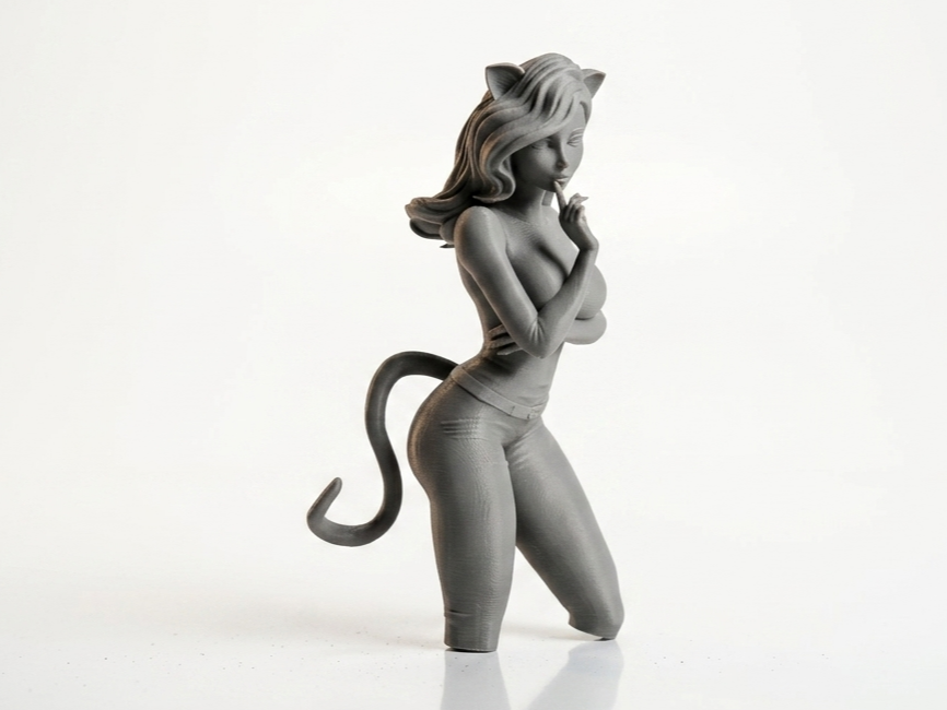 Shushing Catgirl