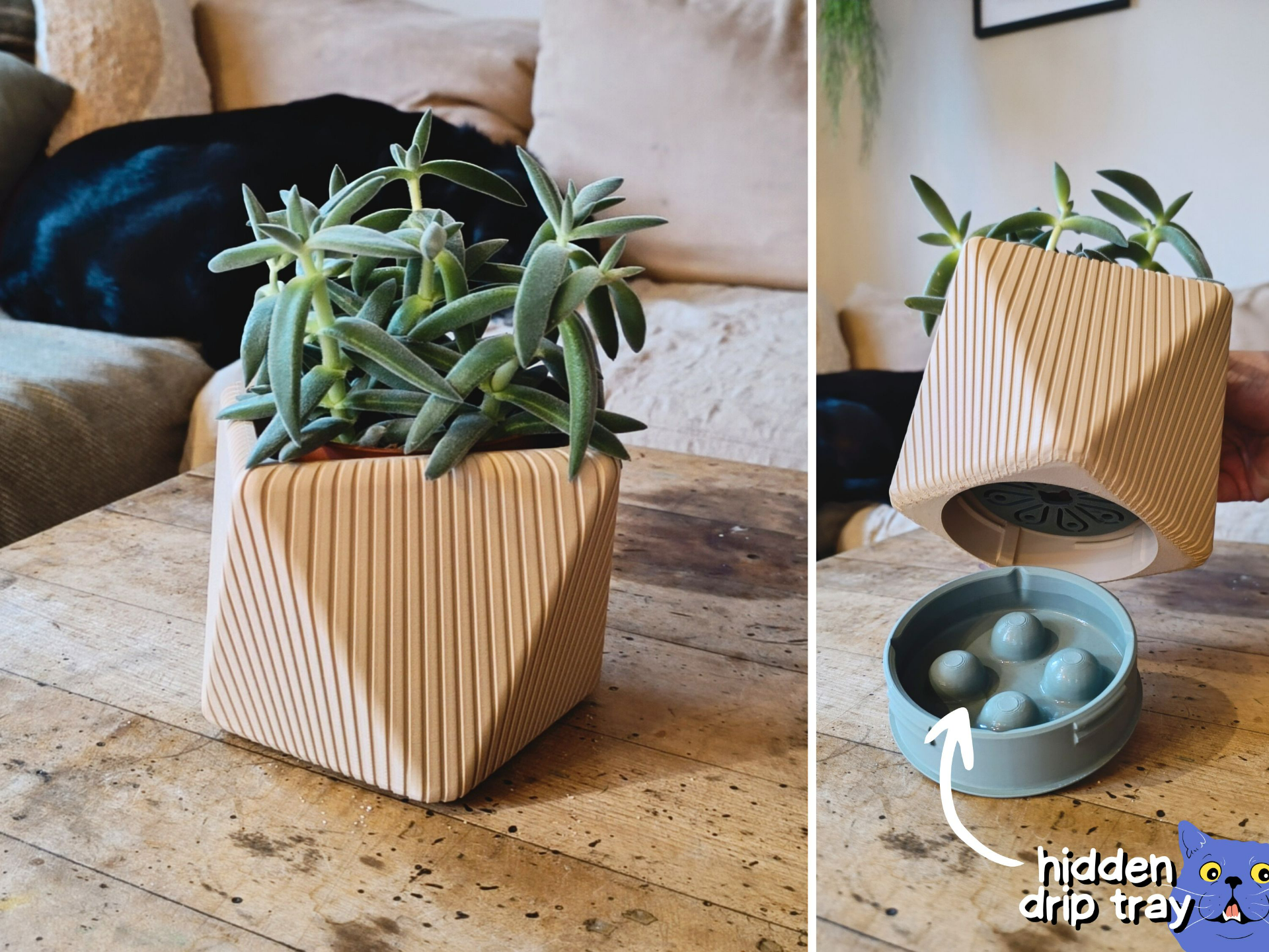Modern cubic vase with hidden drip tray (1)