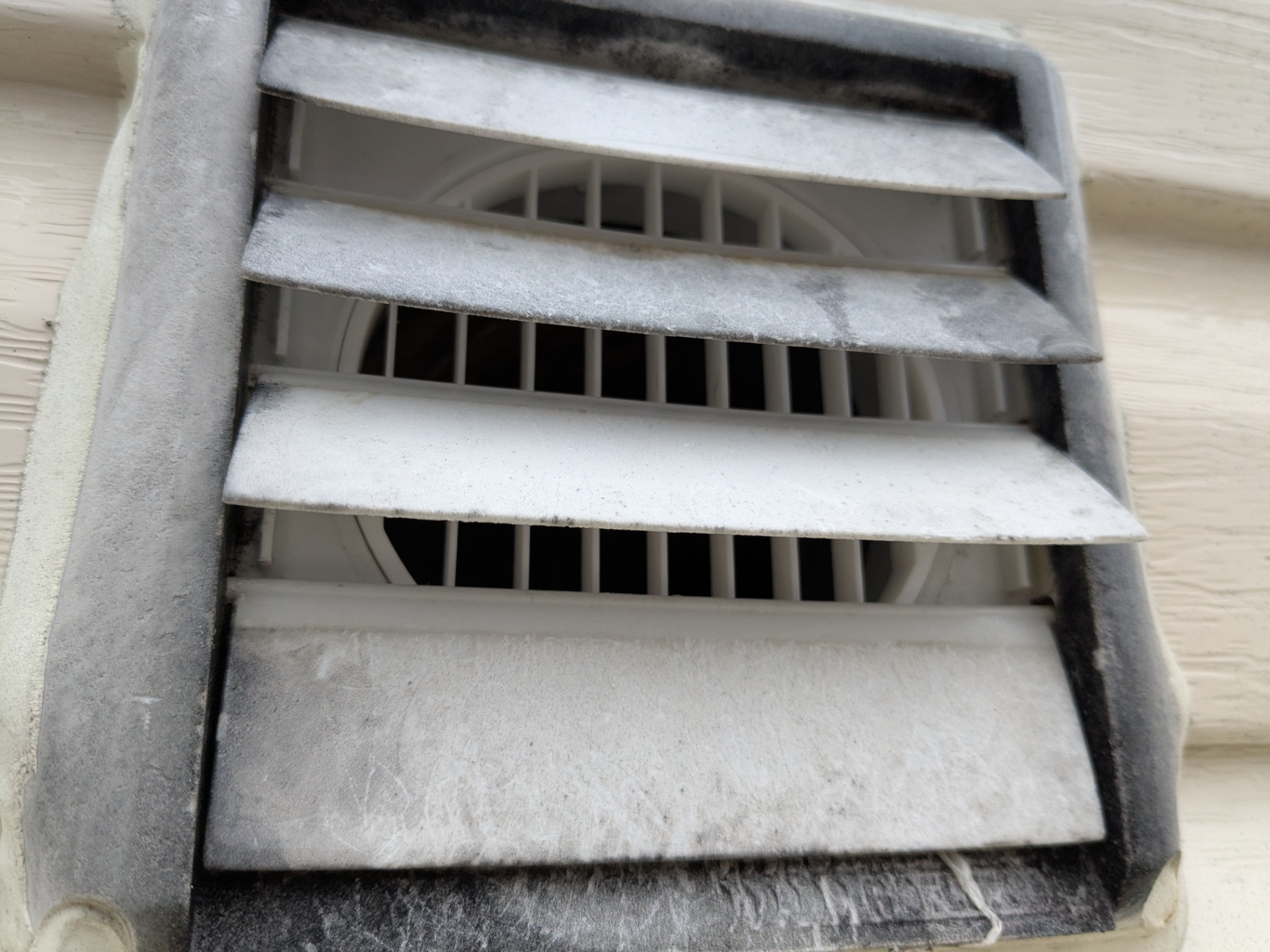 Vent guard for 4 inch duct - keep birds out!