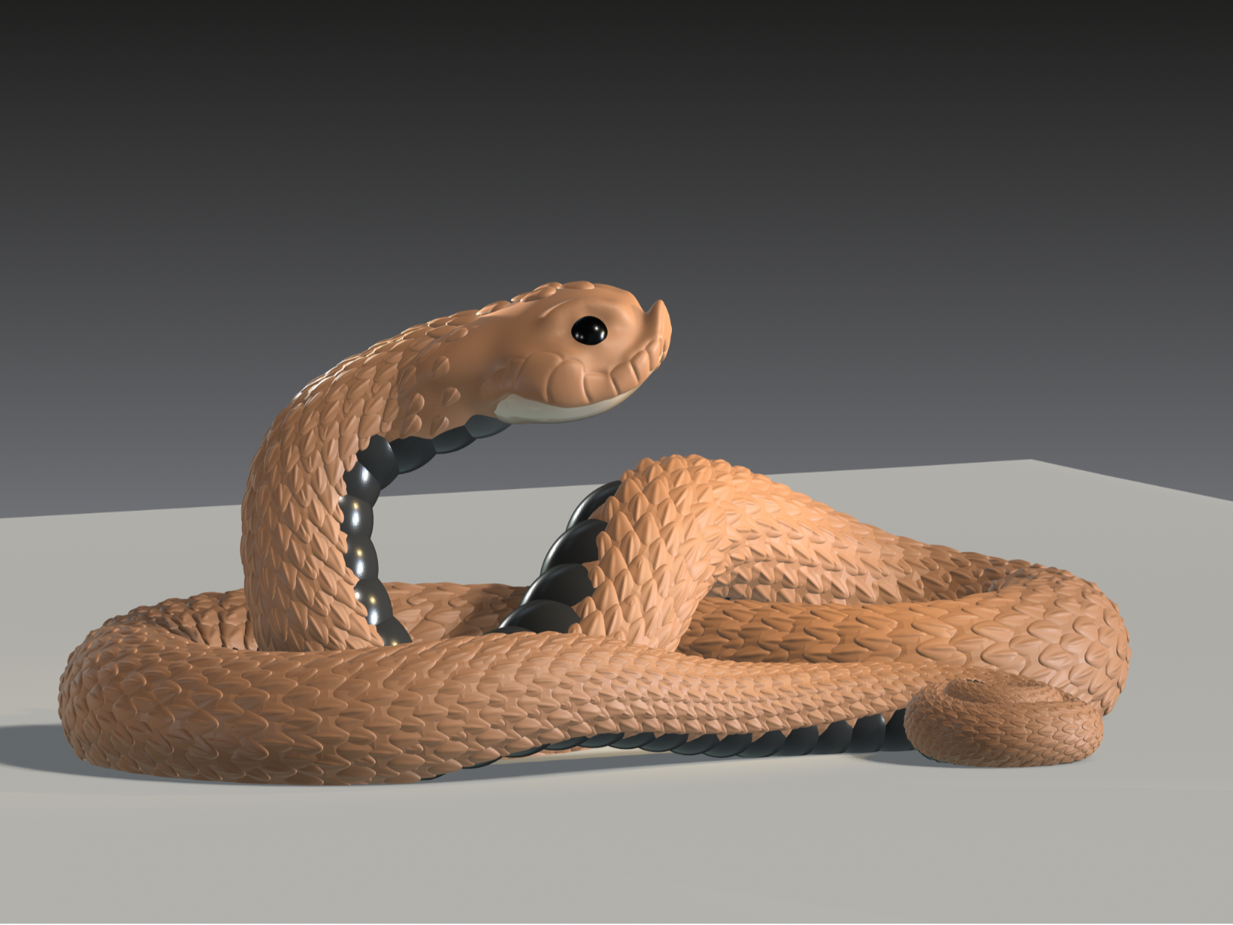 Western Hognose Snake