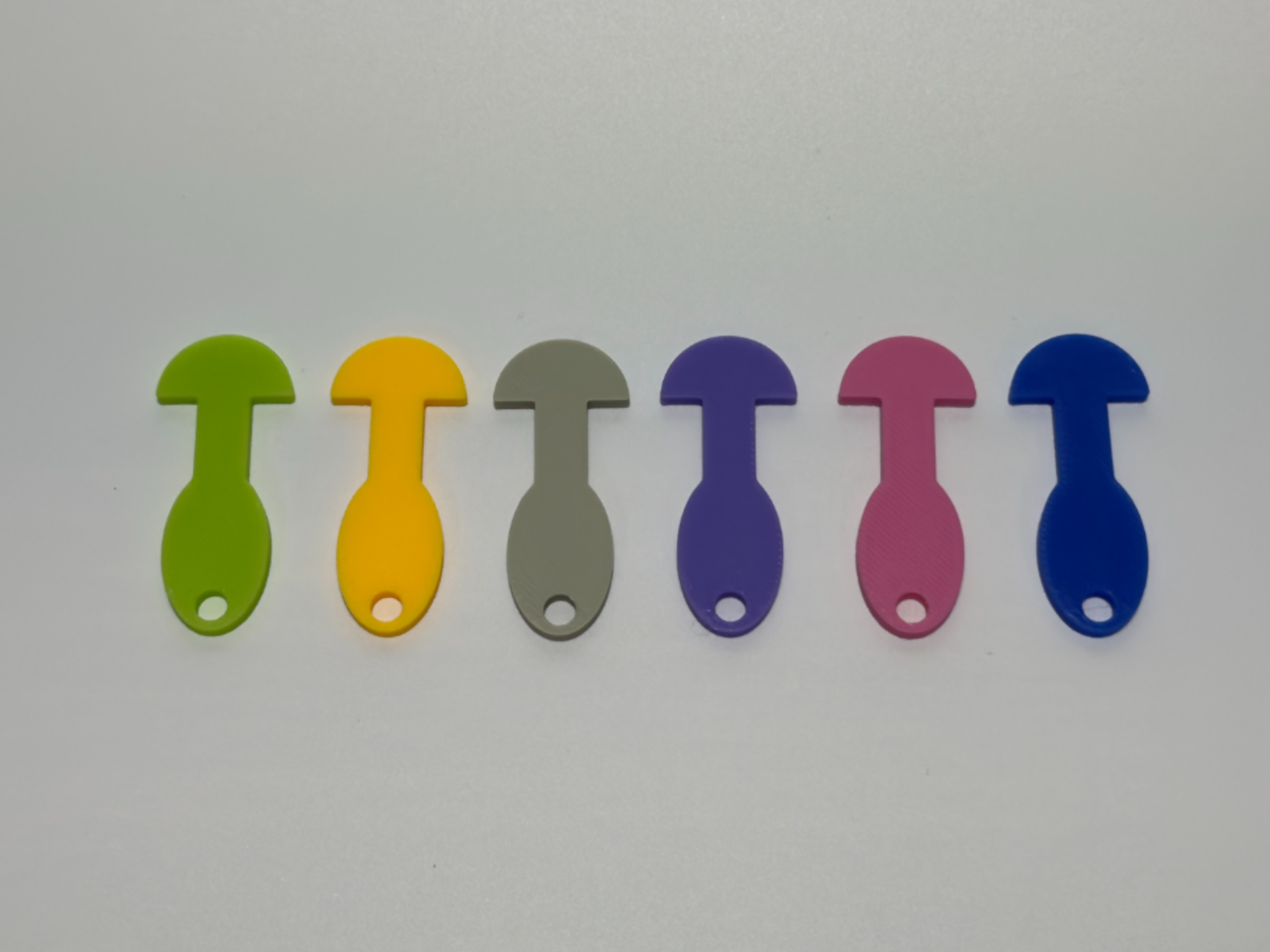 Removeable Trolley Key for AUS $2 Coin Size