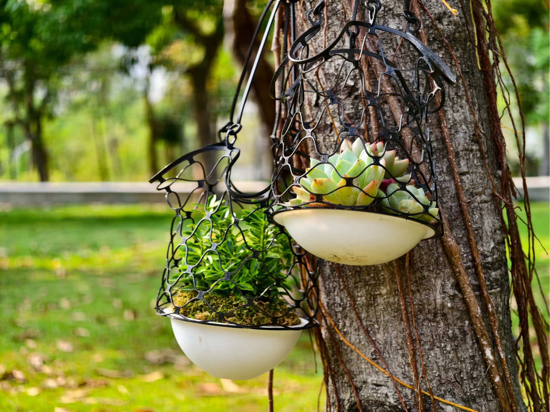 Net Planter