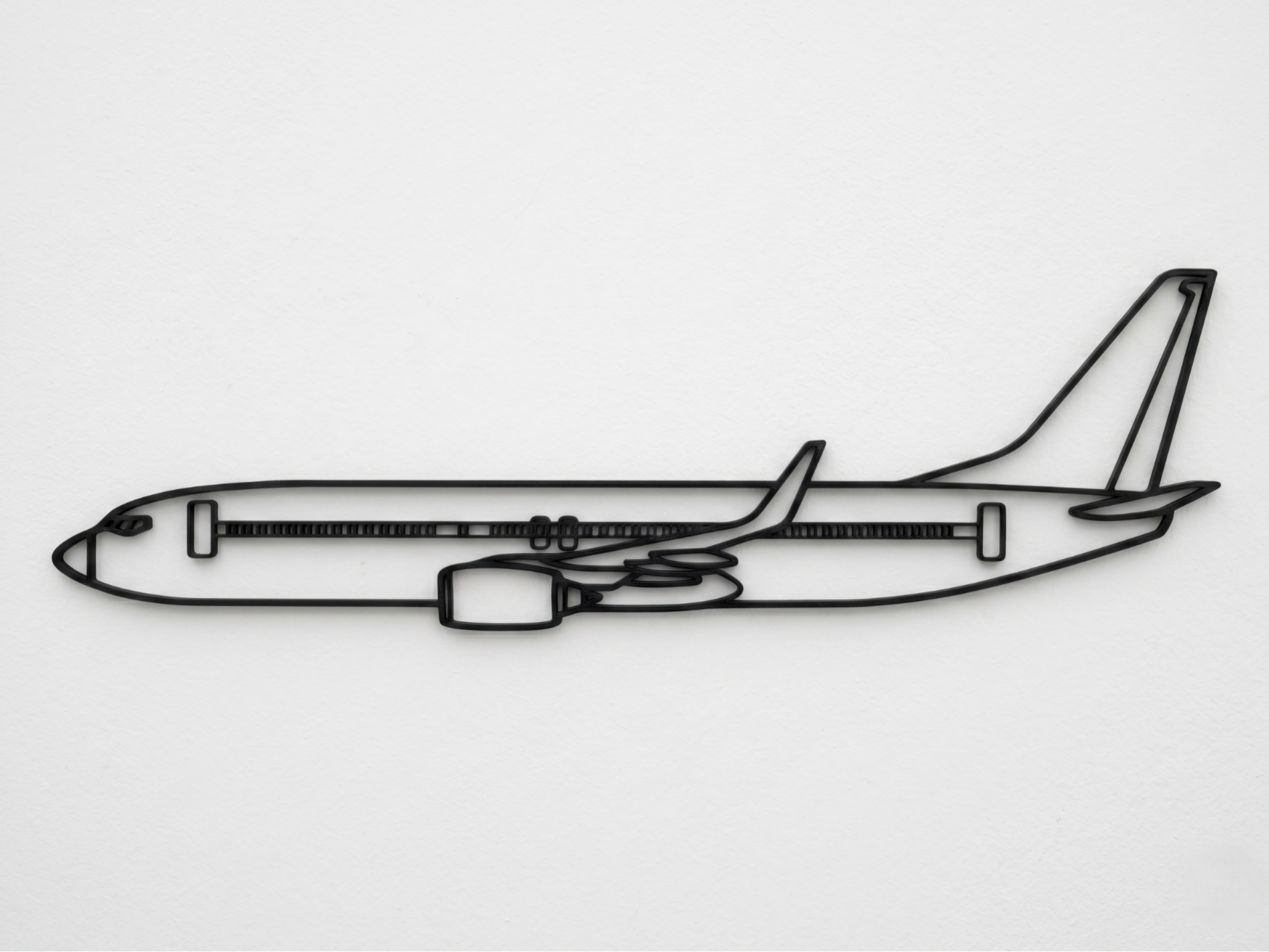 Boeing 737-800 Wall Art