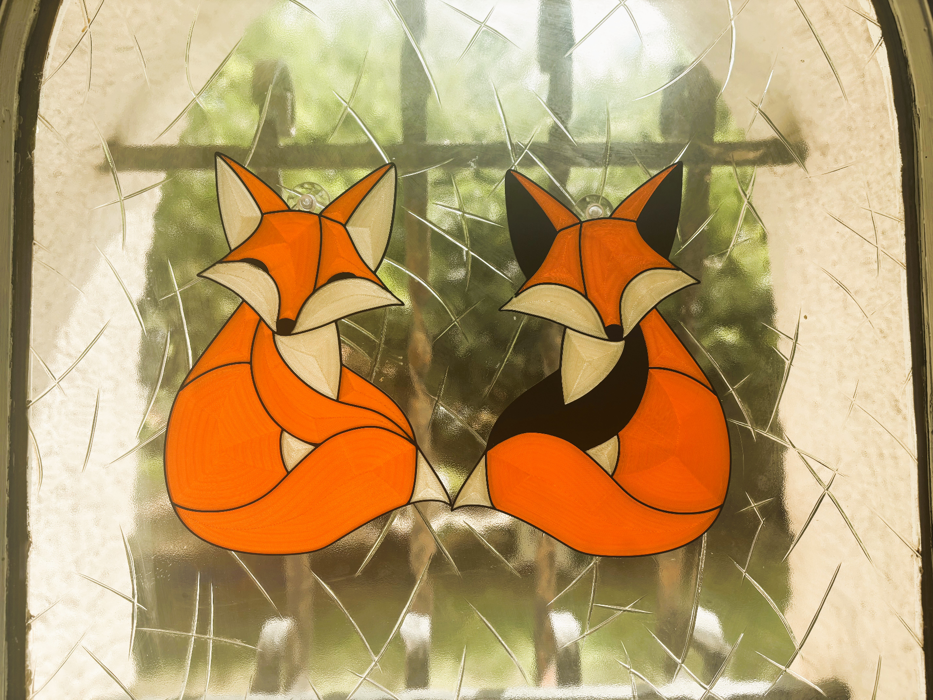 fox translucent