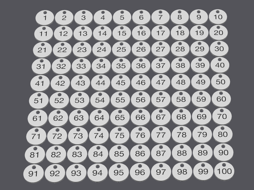 Both sides number tag keychain 1-100