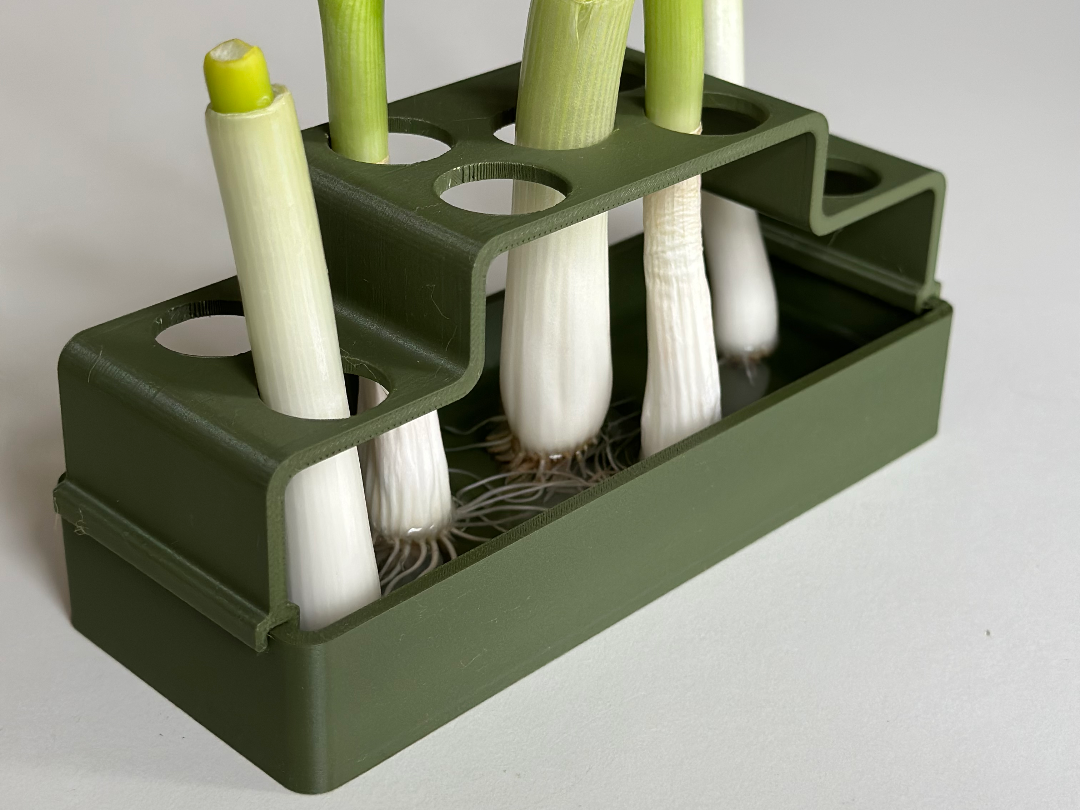 Regrow: Frühlingszwiebeln