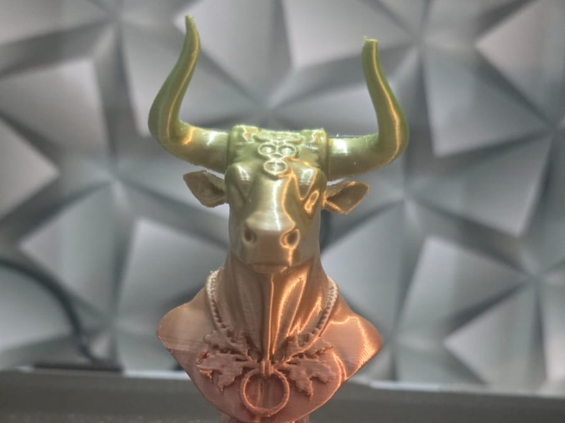 SignoTouro