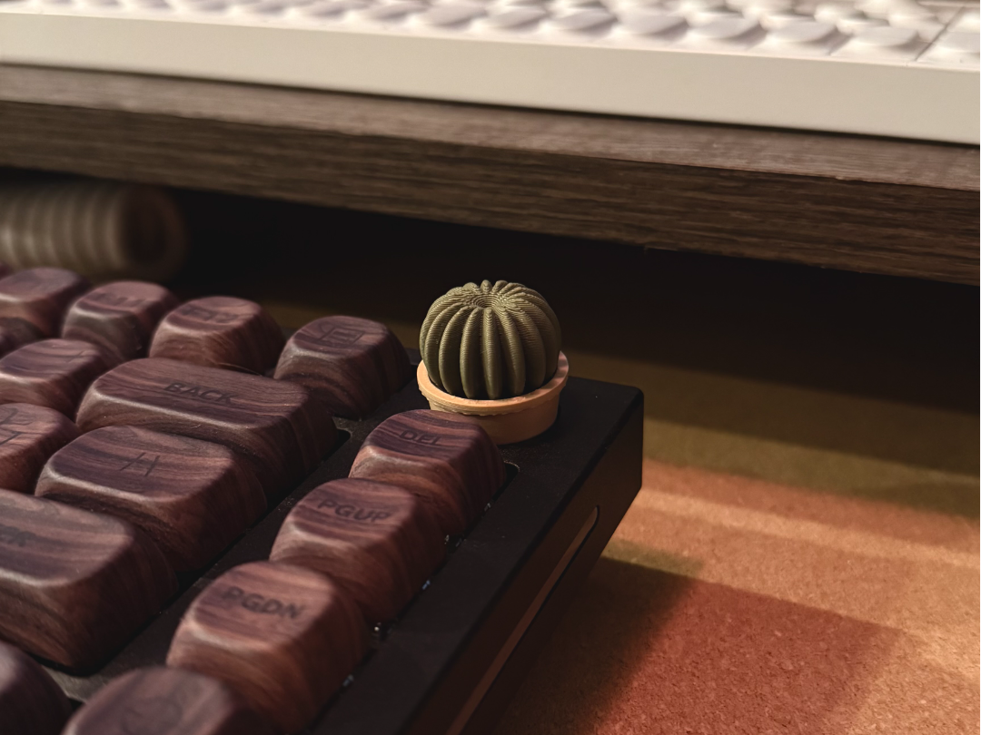 Cactus volume knob