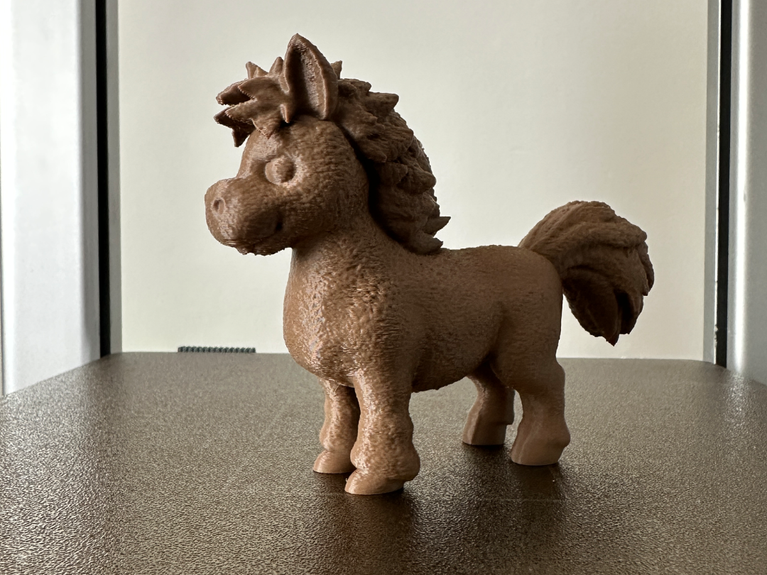 Shetland Pony