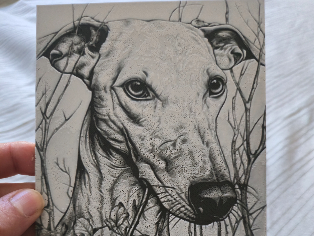 Galgo Espianol_1