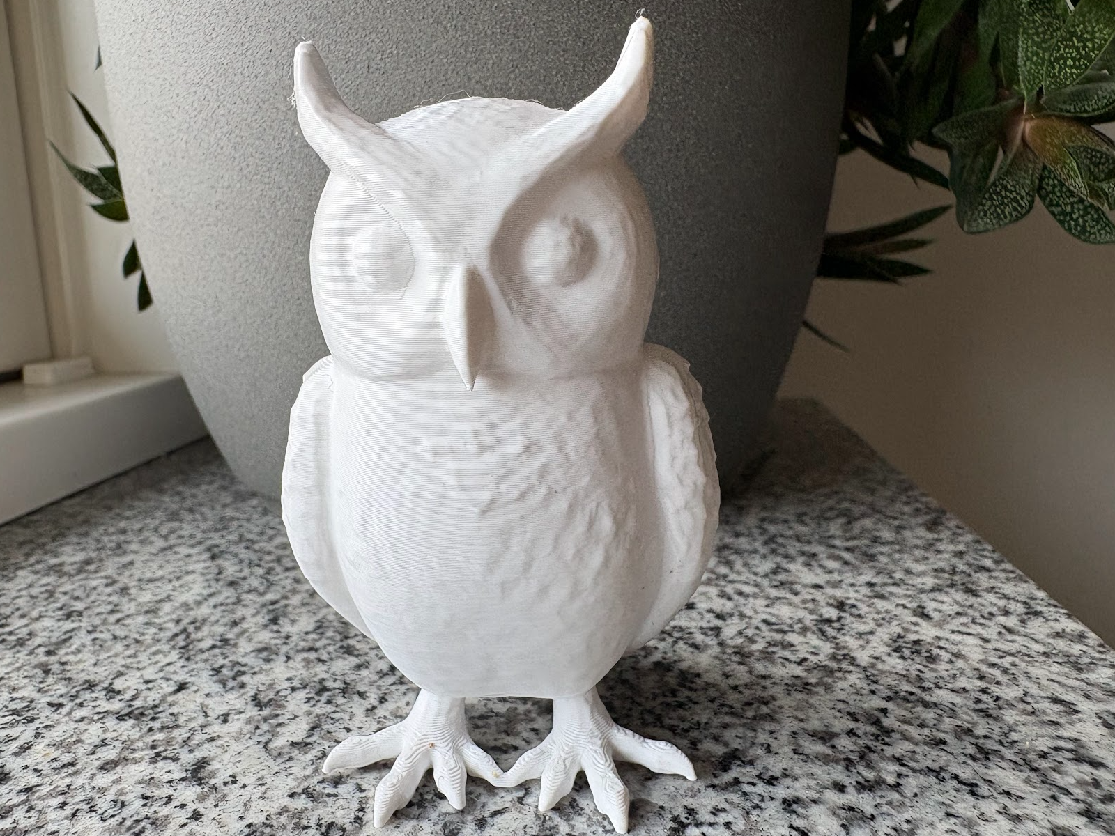 Pretty Owl