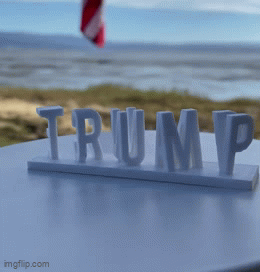 Trump Vance Ambigram