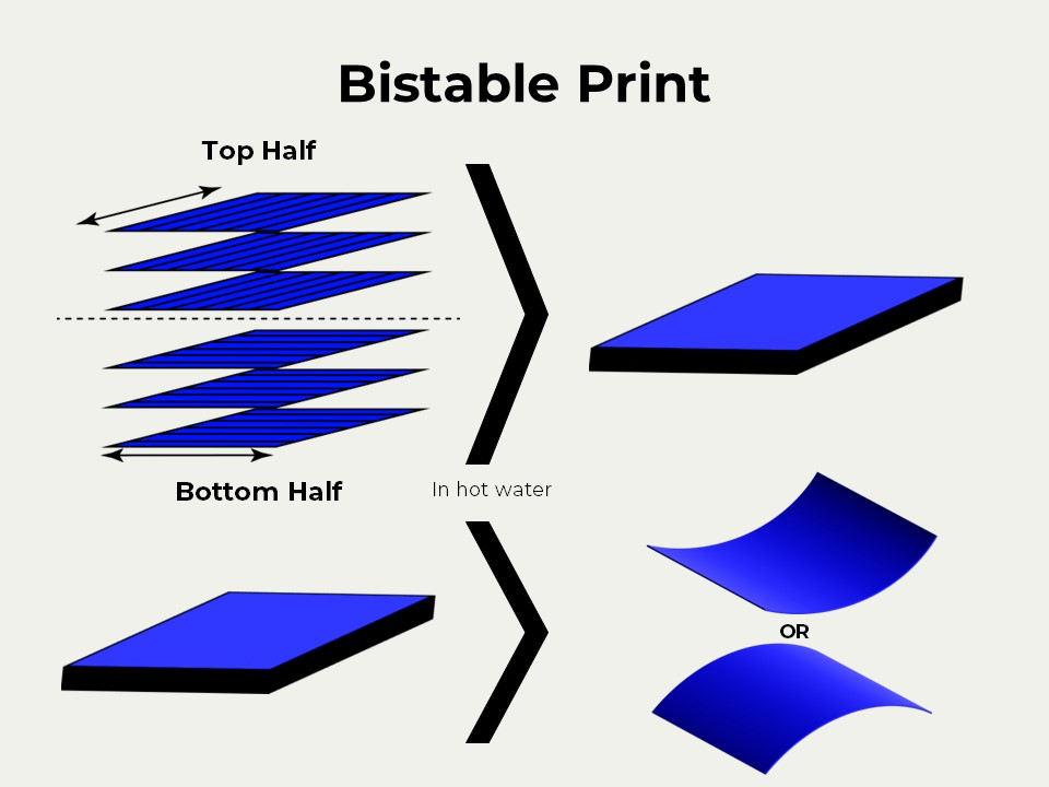4D Bistable Square