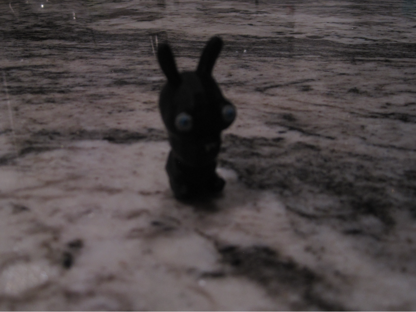 Chaos Bunny Meme