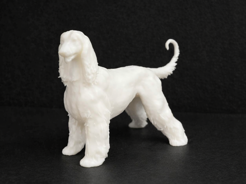Afghan Hound - Dog - Animal