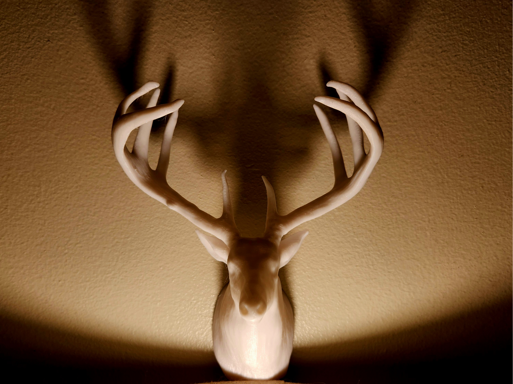 1914 Jordan Buck - Shoulder Mount